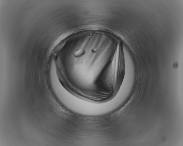 X0000091961410200709271337