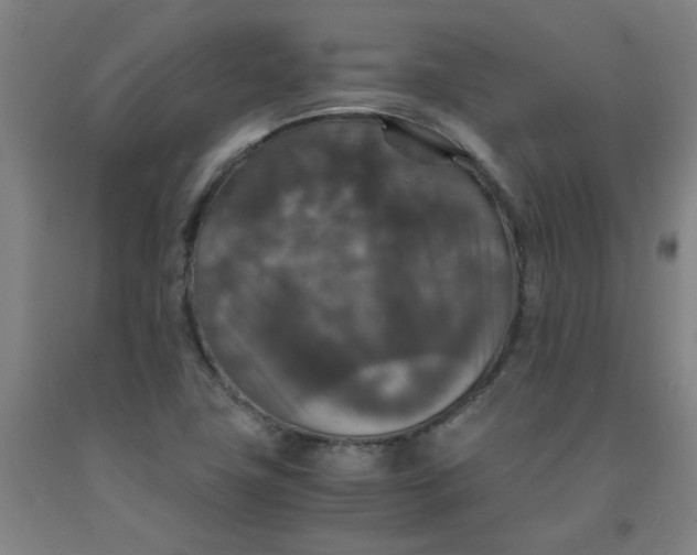 X0000091961411200709271337