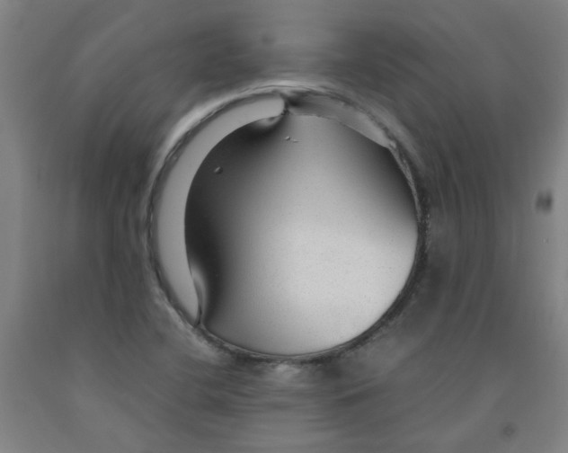 X0000091961412200709271337