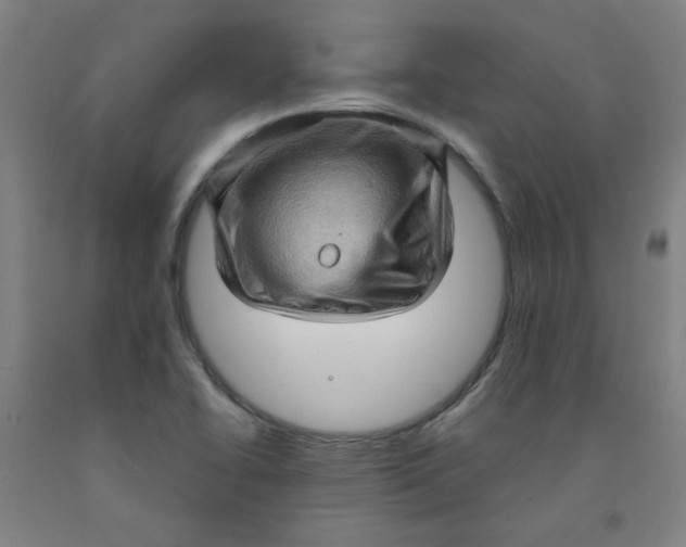 X0000091961414200709271337