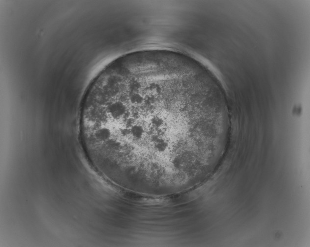 X0000091961415200709271337