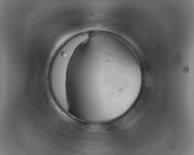 X0000091961416200709271337