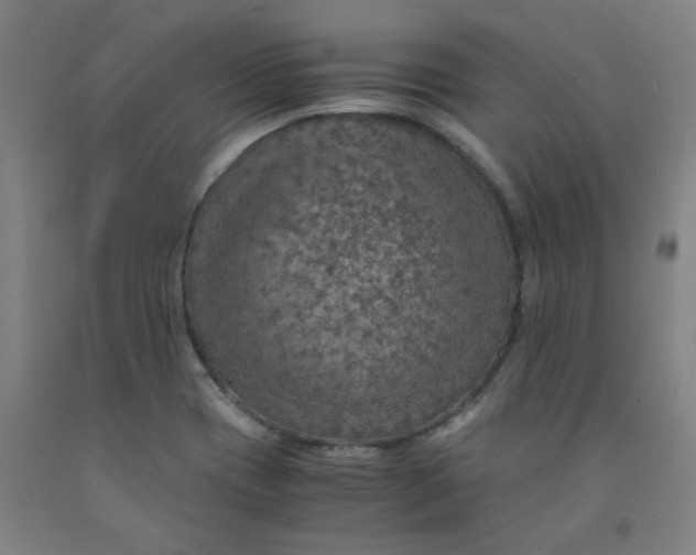 X0000091961417200709271337