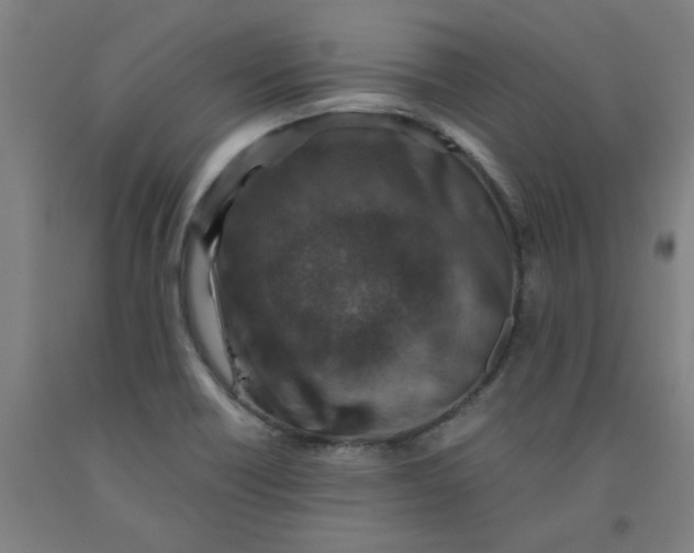 X0000091961418200709271337