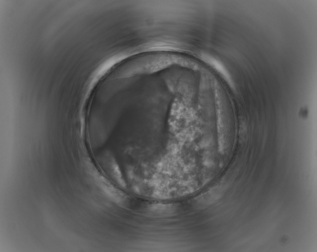 X0000091961419200709271337