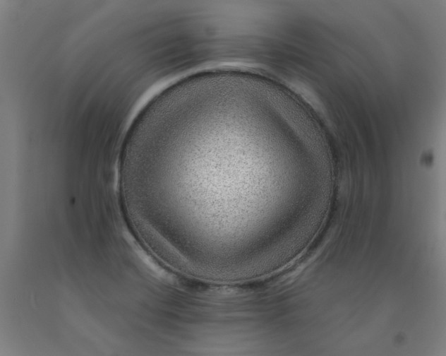 X0000091961420200709271337