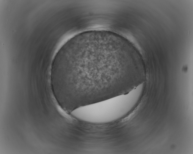 X0000091961421200709271337