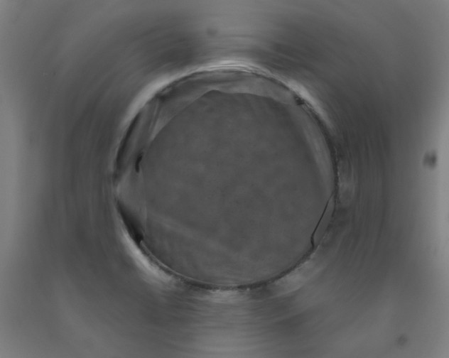 X0000091961422200709271337