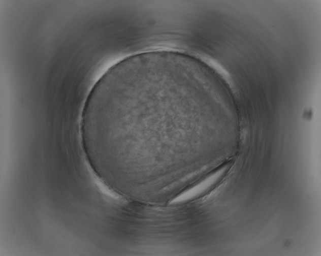 X0000091961423200709271337