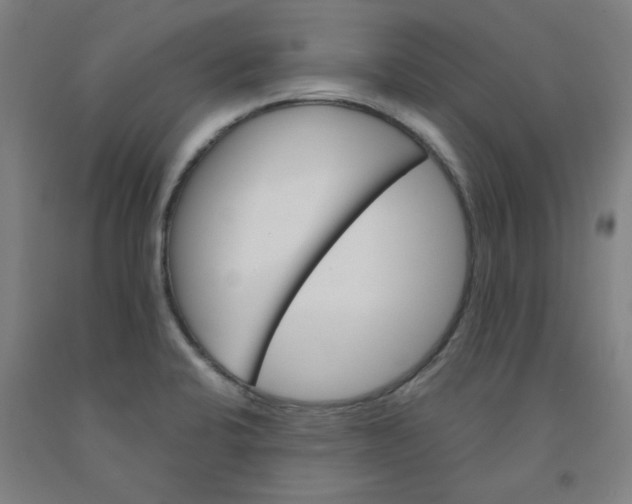 X0000091961424200709271337