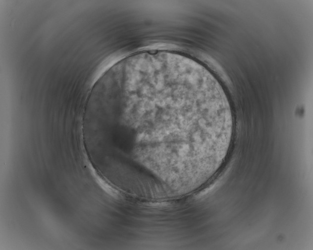 X0000091961425200709271337