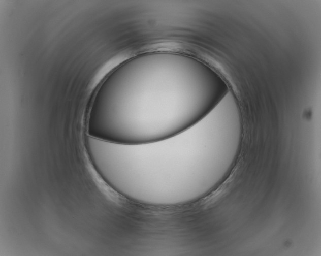 X0000091961426200709271337