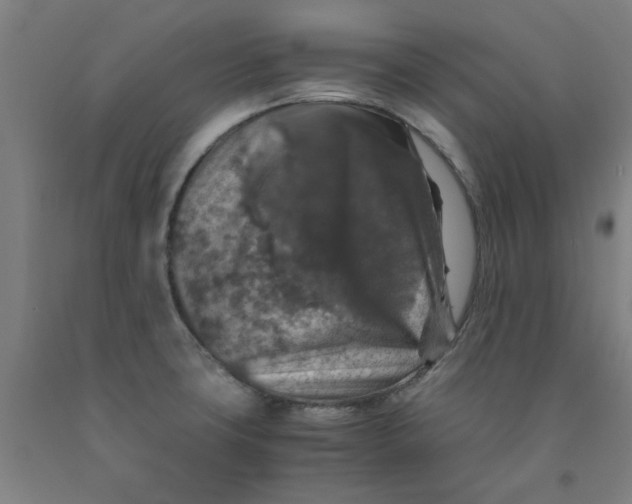 X0000091961427200709271337