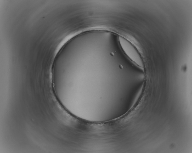 X0000091961428200709271337