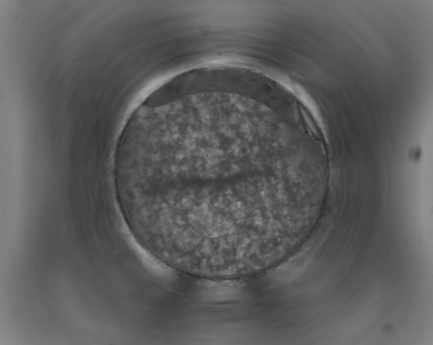 X0000091961429200709271337