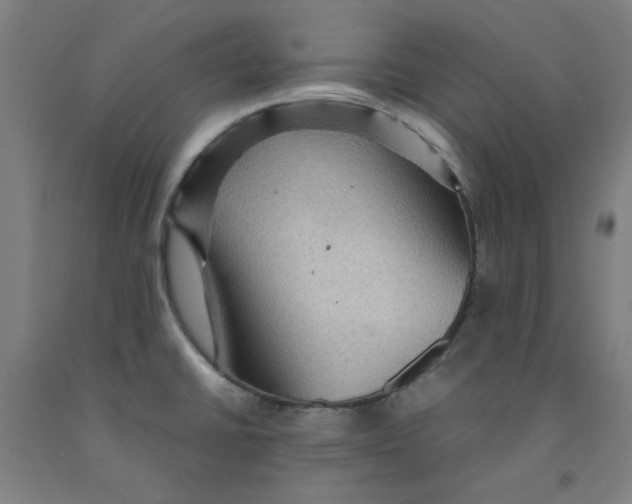 X0000091961430200709271337