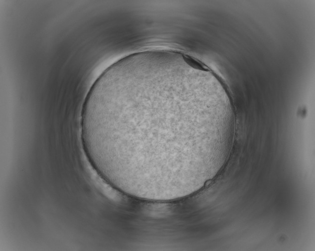 X0000091961431200709271337