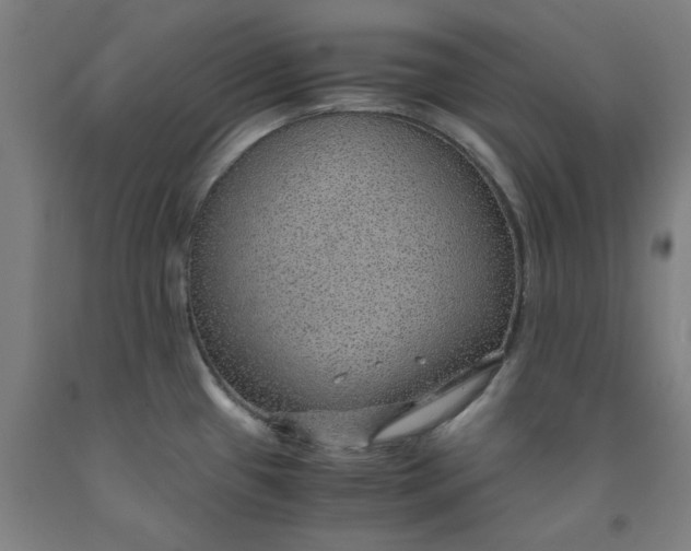 X0000091961433200709271337