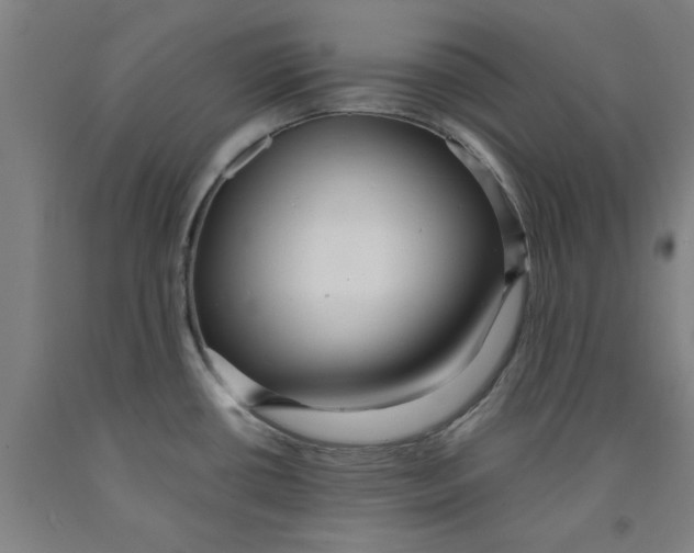 X0000091961434200709271337