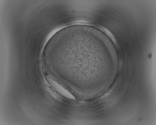 X0000091961435200709271337