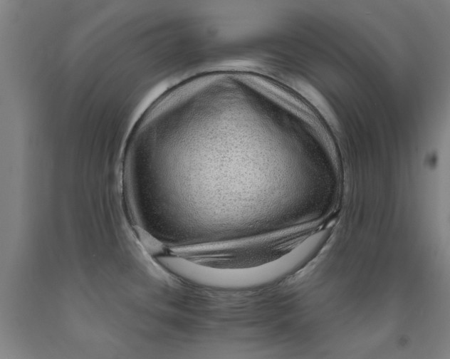 X0000091961436200709271337