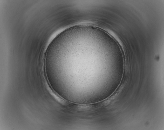 X0000091961437200709271337