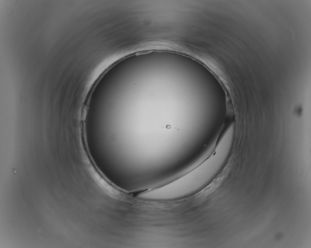 X0000091961438200709271337