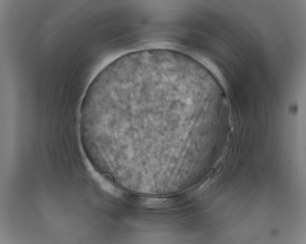 X0000091961439200709271337