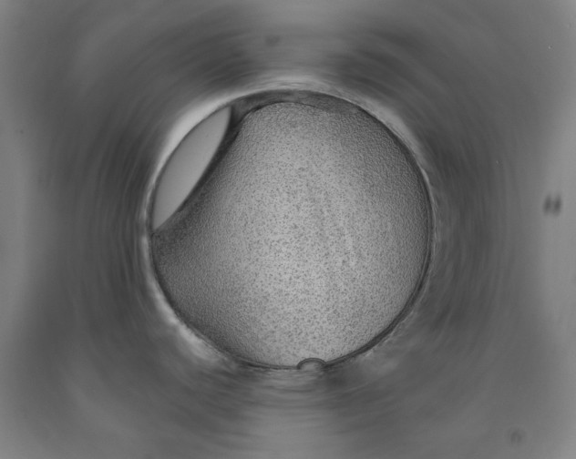 X0000091961440200709271337