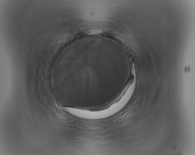 X0000091961441200709271336