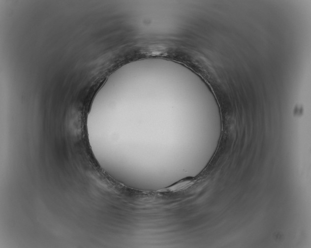 X0000091961442200709271336