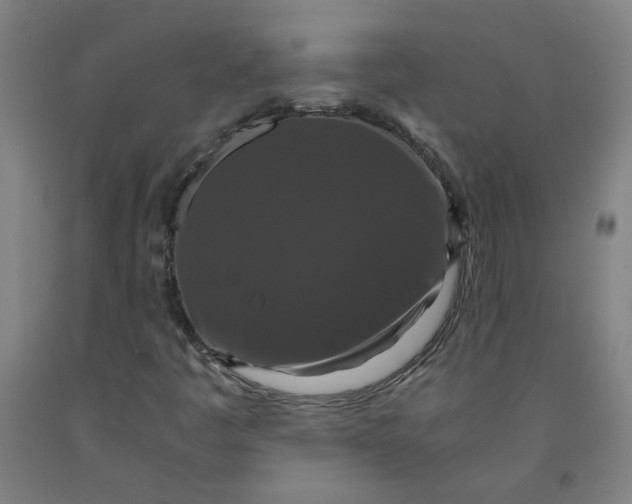 X0000091961445200709271336