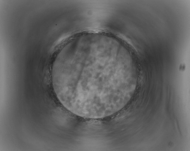 X0000091961446200709271336