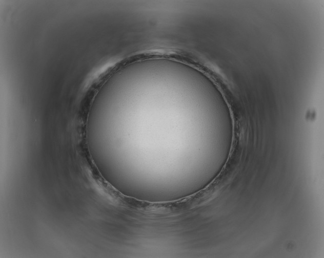 X0000091961448200709271336