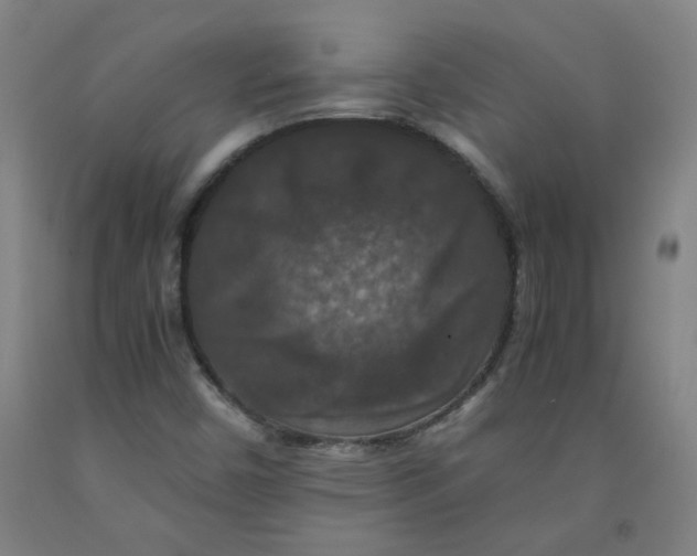 X0000091961450200709271336