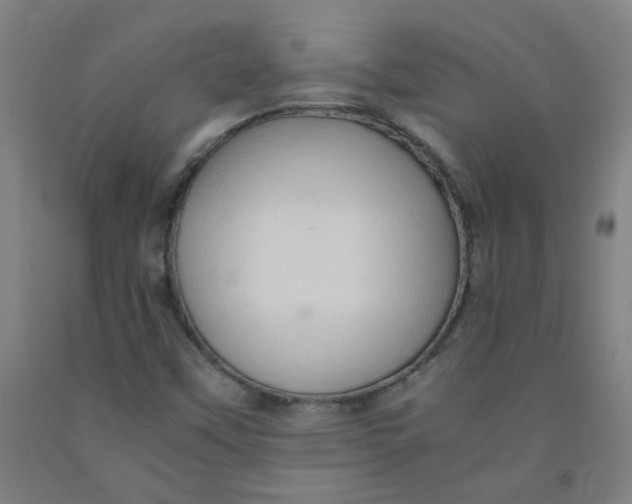 X0000091961451200709271336