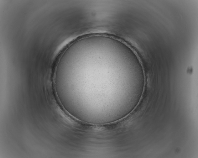 X0000091961452200709271336