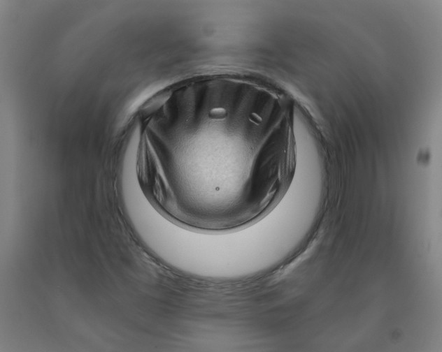 X0000091961453200709271336