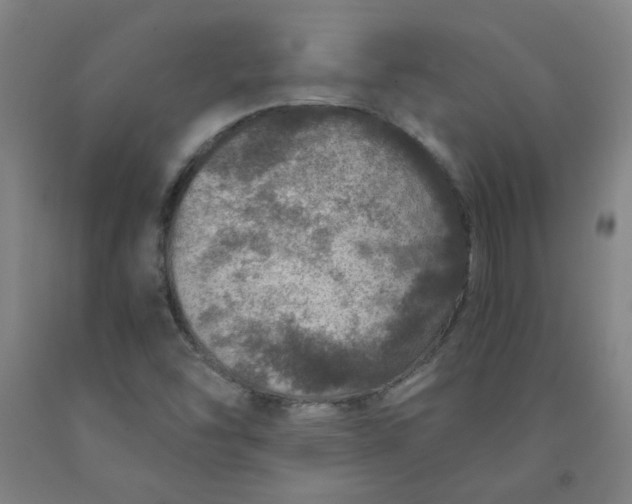 X0000091961454200709271336