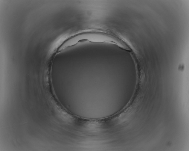 X0000091961455200709271336