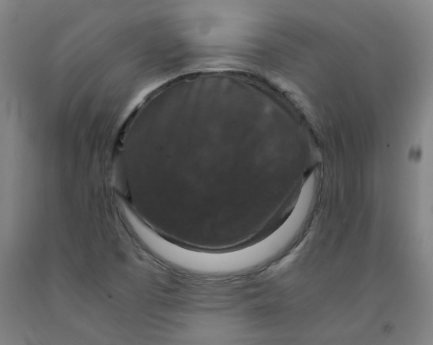 X0000091961457200709271336