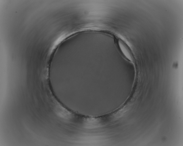 X0000091961459200709271336