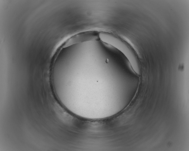 X0000091961460200709271336