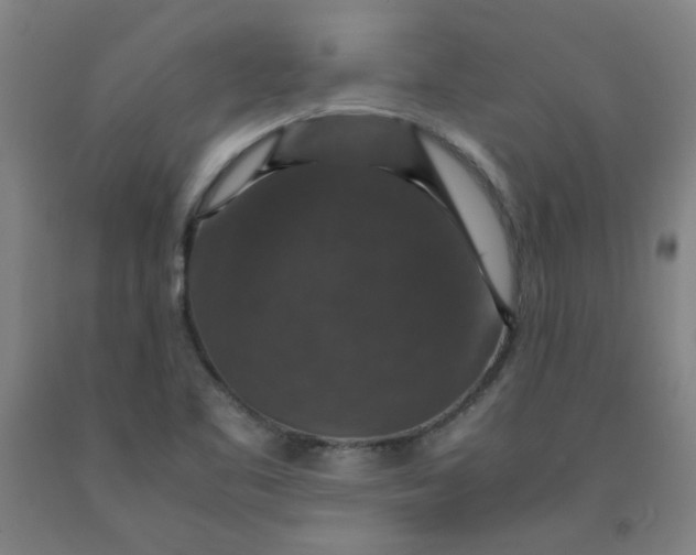 X0000091961461200709271336