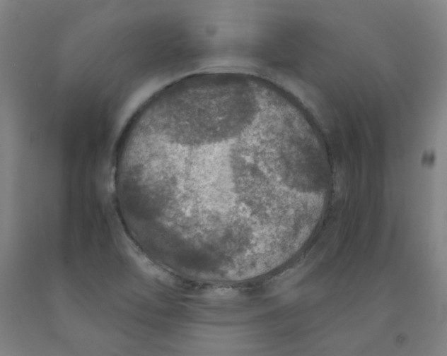 X0000091961462200709271336