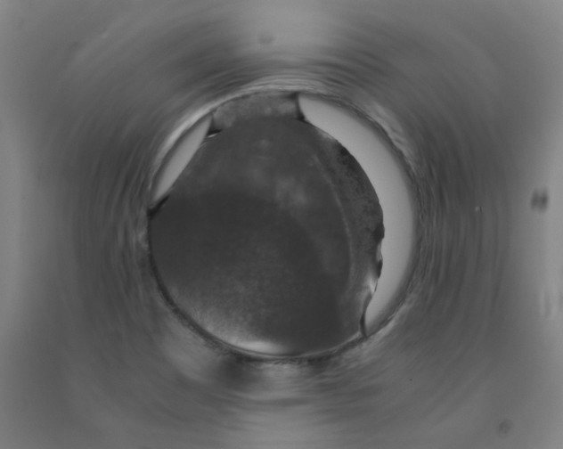 X0000091961465200709271336