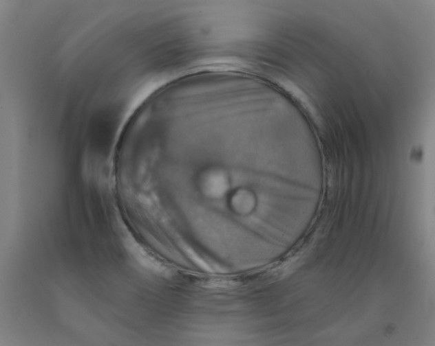 X0000091961466200709271336