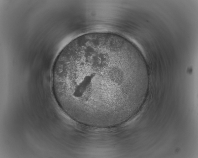 X0000091961467200709271336