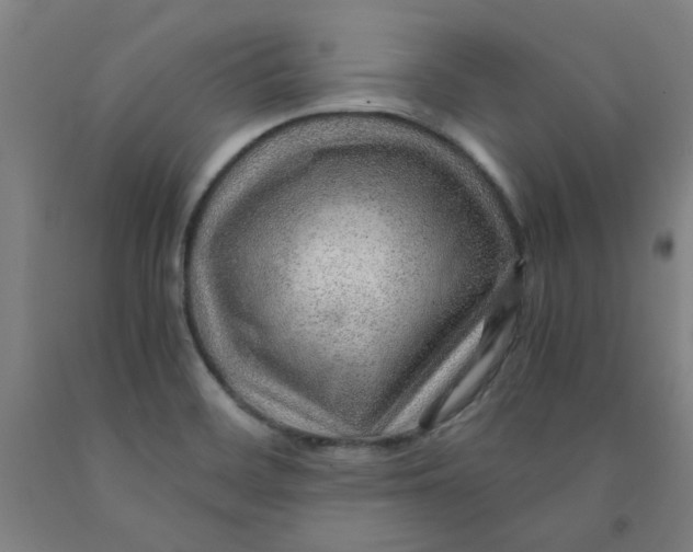 X0000091961468200709271336