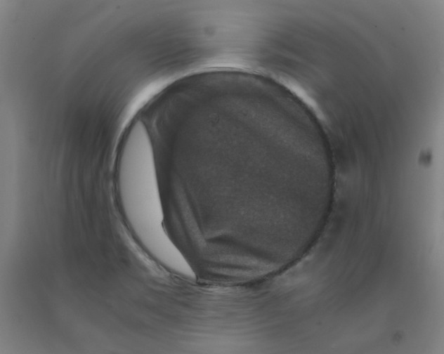 X0000091961469200709271336